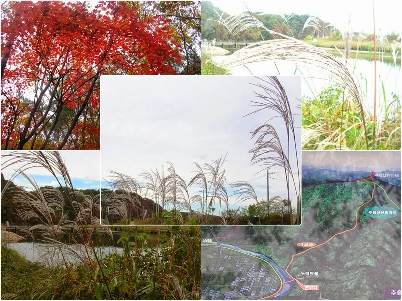 111022 양평 추읍산