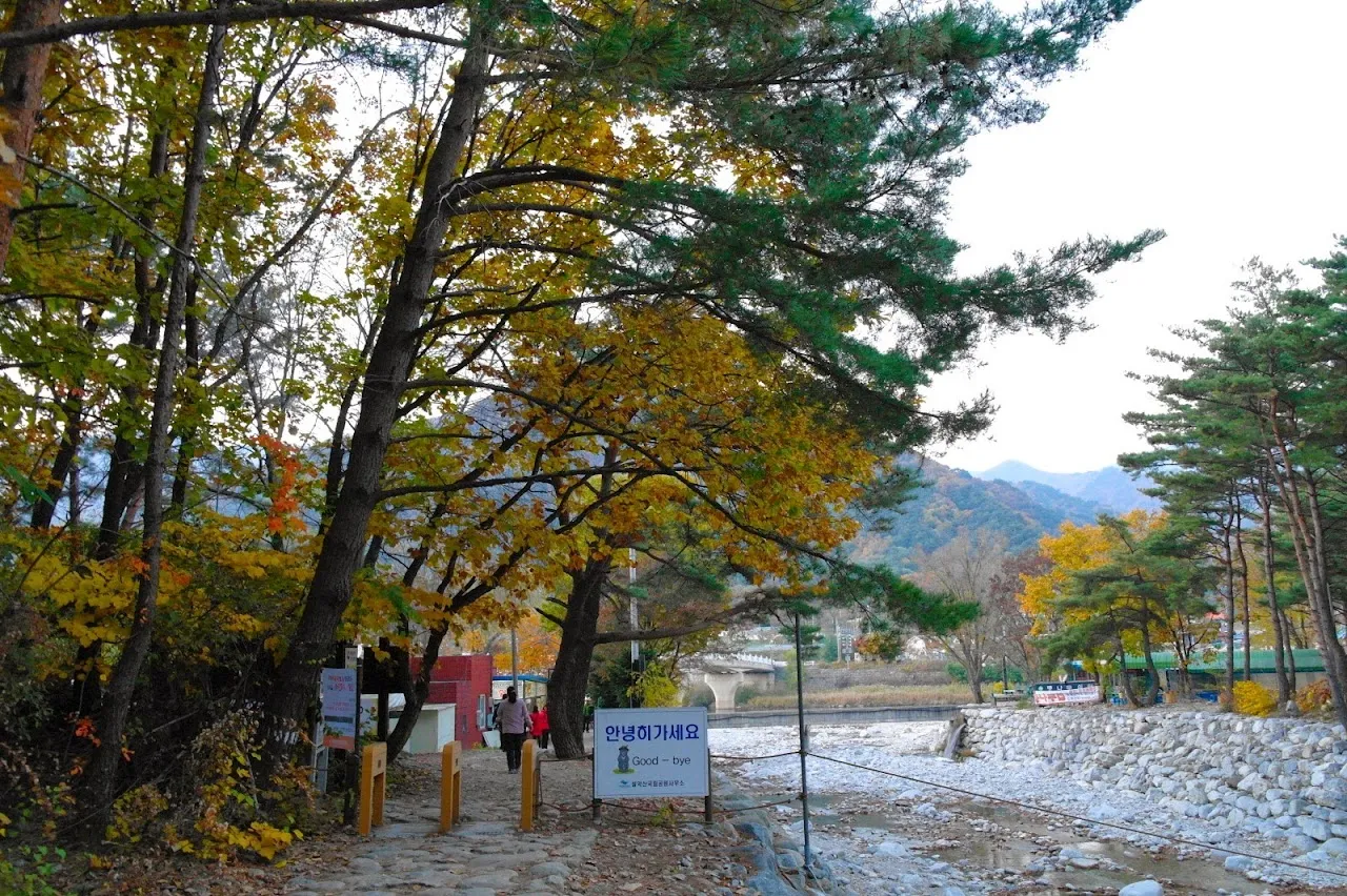 설악산 장수대-대승령-십이선녀매표소(남교리) 산행
