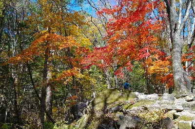 설악산 남교리코스 사용자 사진 3