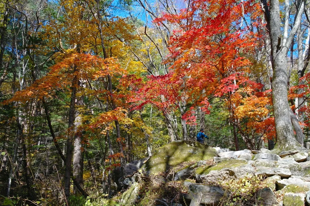 설악산 장수대-대승령-십이선녀매표소(남교리) 산행