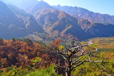 설악산 남교리코스 사용자 사진 2