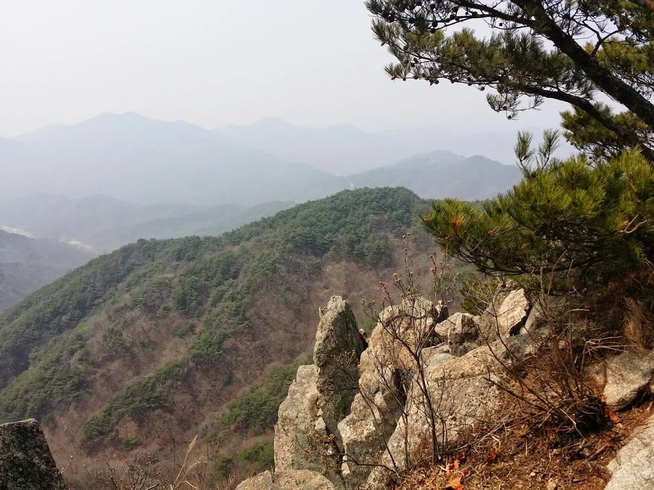 대구 동구 초례봉 낙타봉