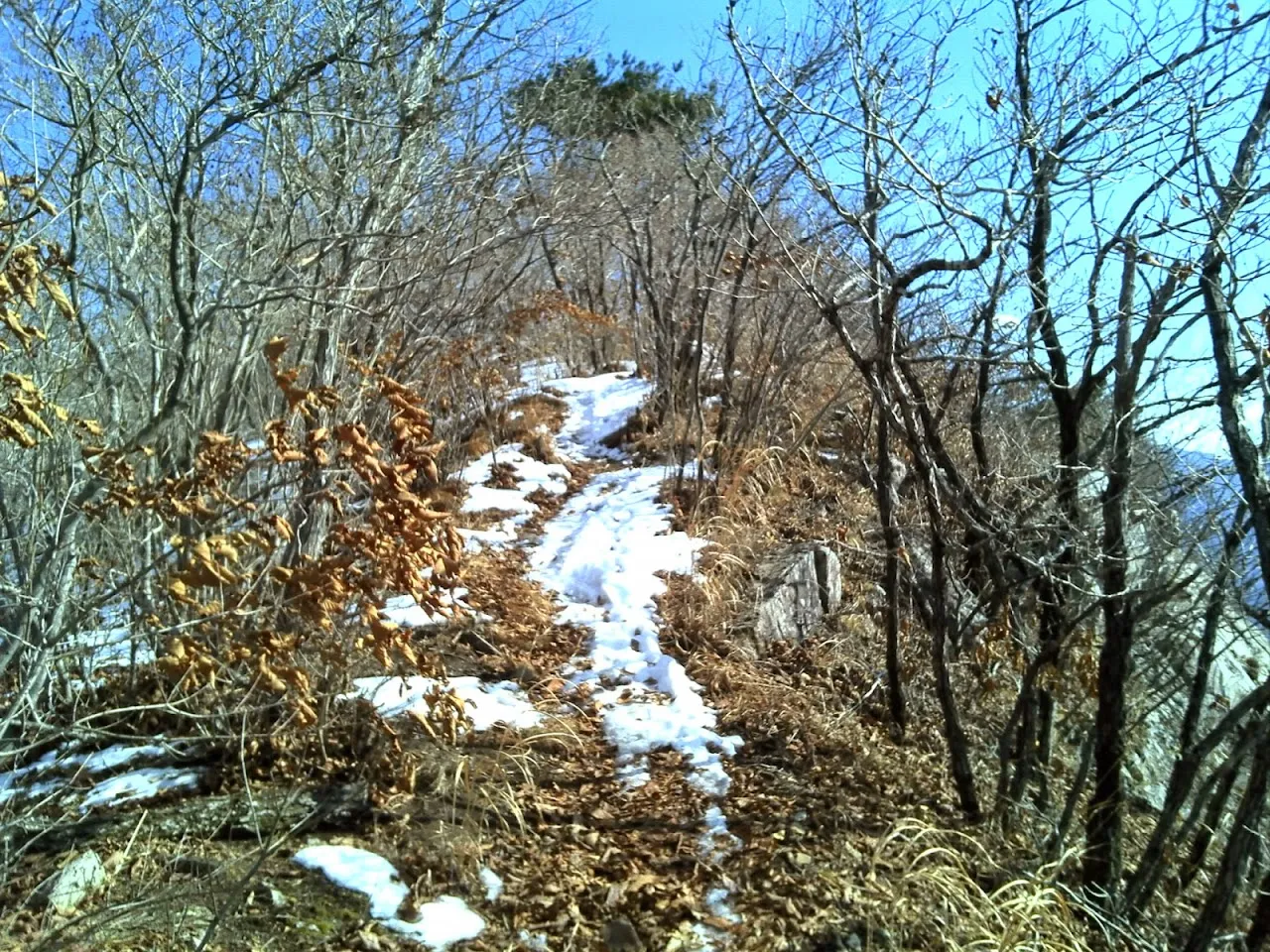 밀양 향로산2013년 마지막 등산