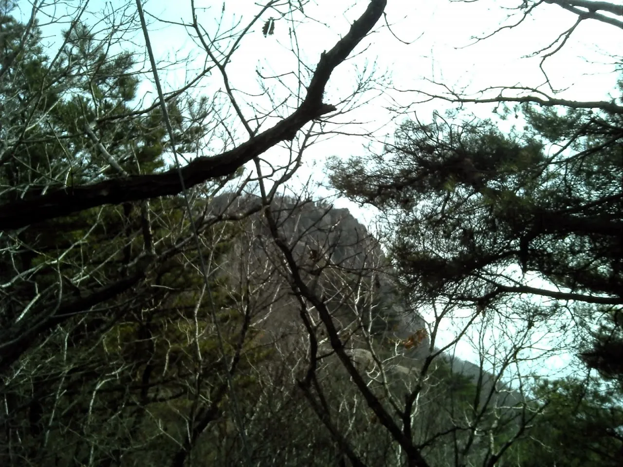 2014.01.12 곰내재_달음산