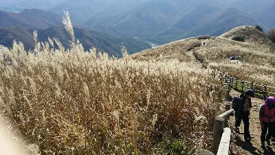민둥산 완경사코스 사용자 사진 1