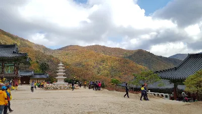 오대산 비로봉코스 사용자 사진 2