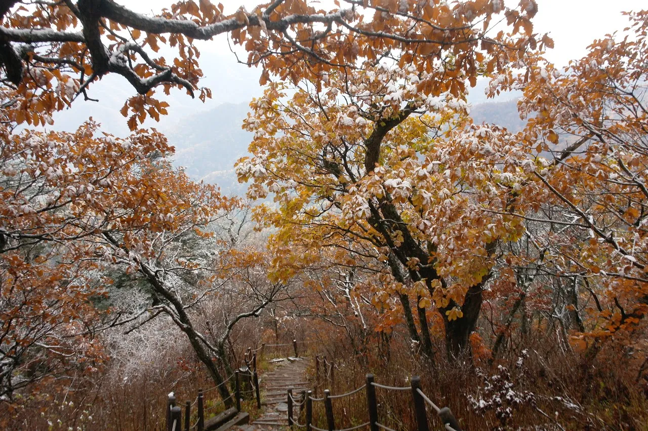 첫눈 내린 오대산 비로봉