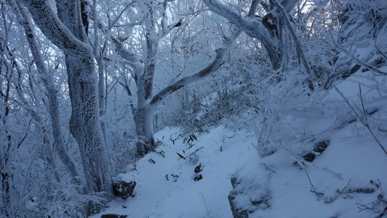 덕유산 눈꽃산행