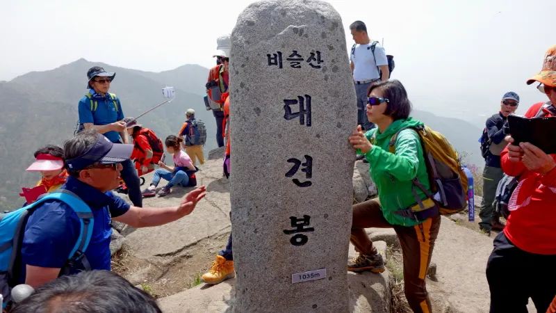 비슬산 진달래
