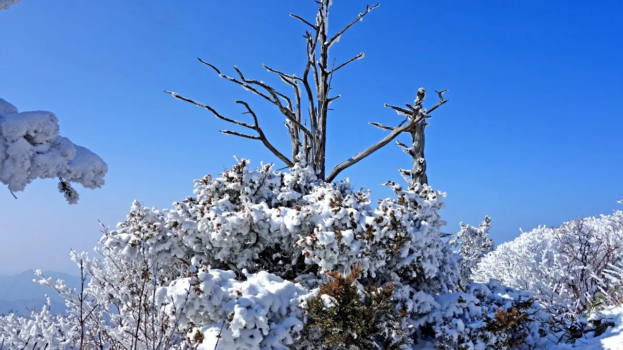 덕유산 눈꽃산행