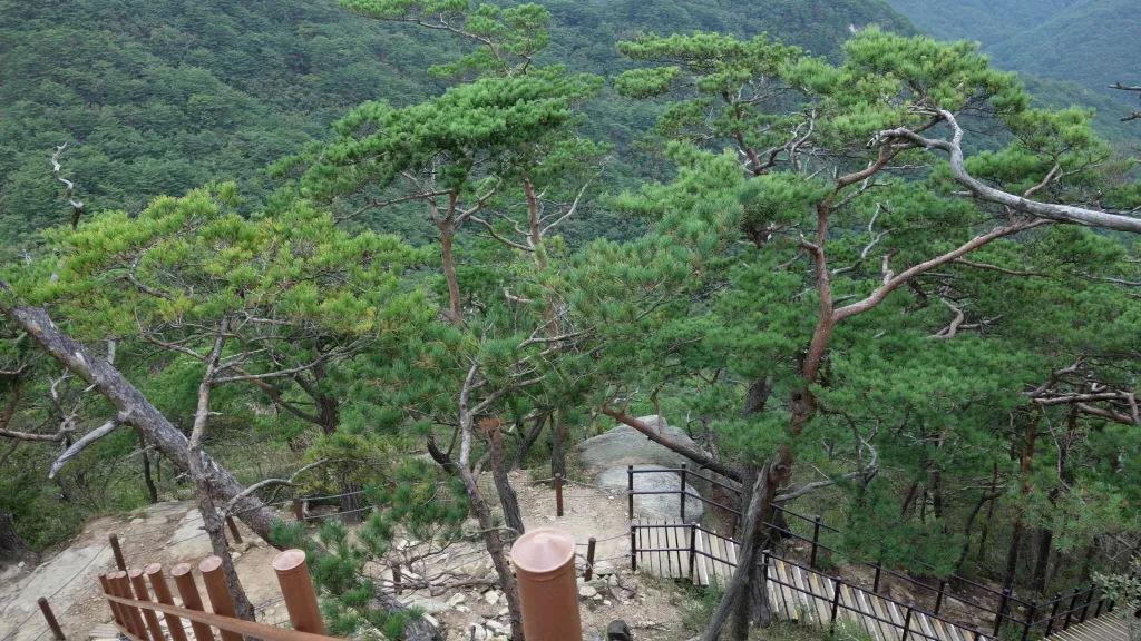 칠보산 (778m) [충북 괴산] : 2016-09-14