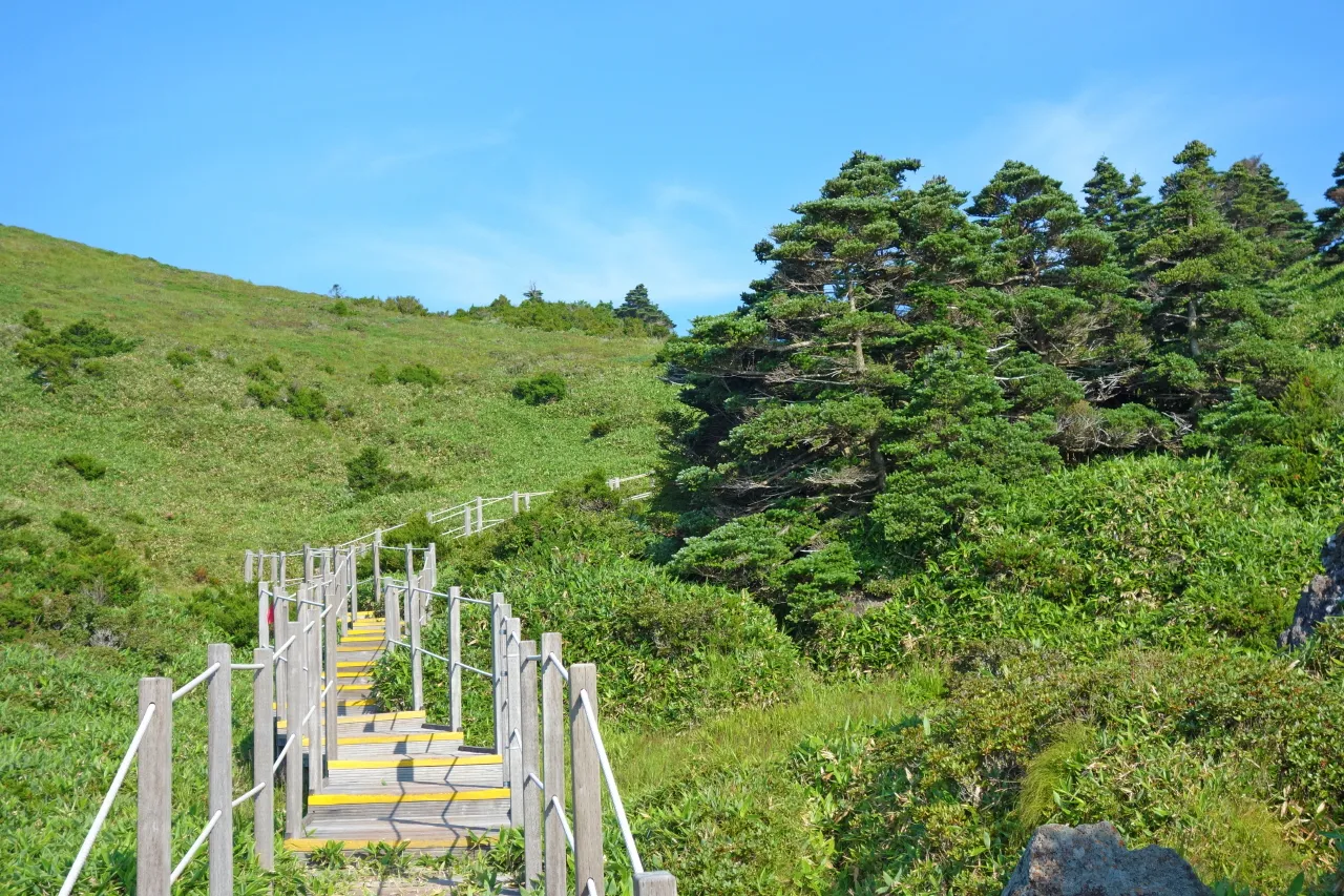 한라산 (돈내코-윗세오름) : 2016-07-30