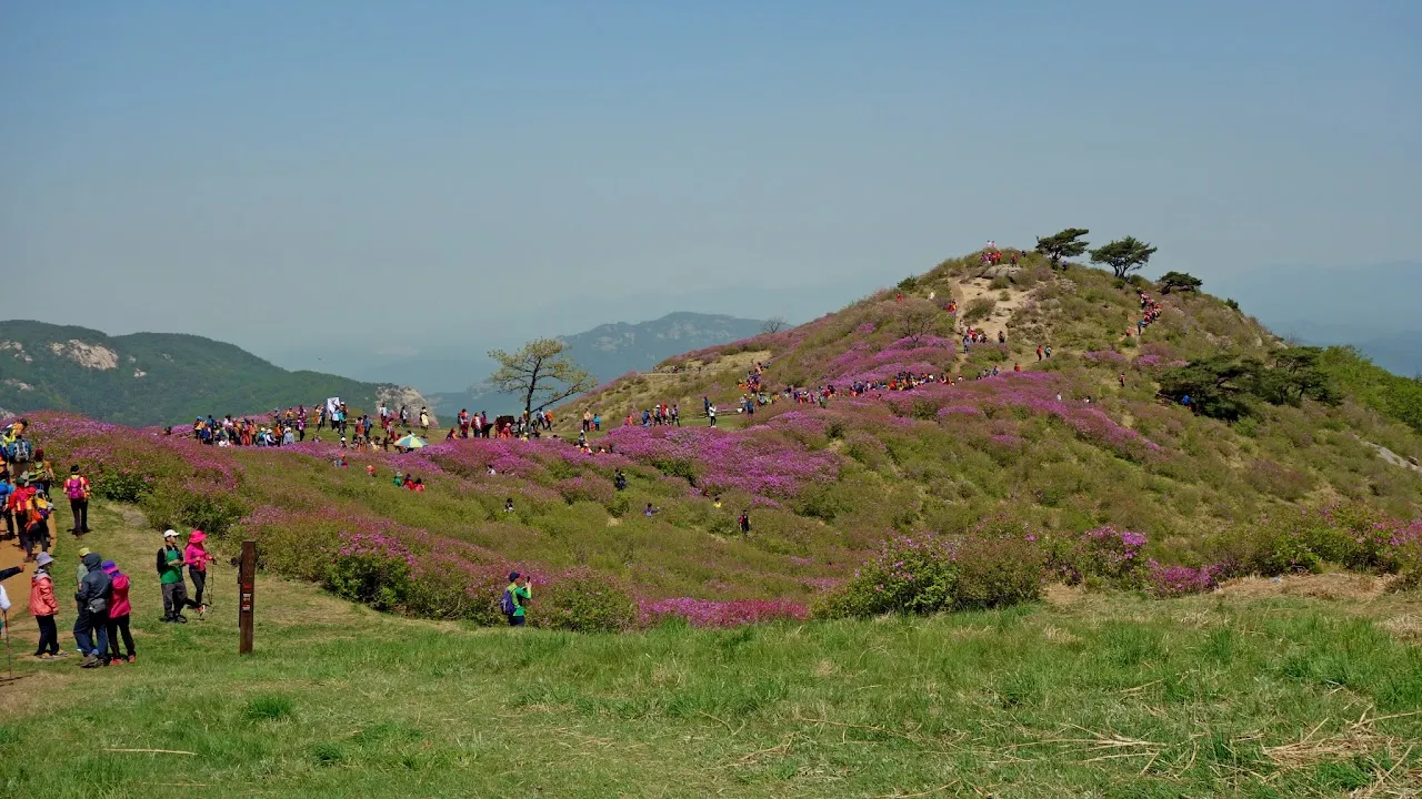 황매산