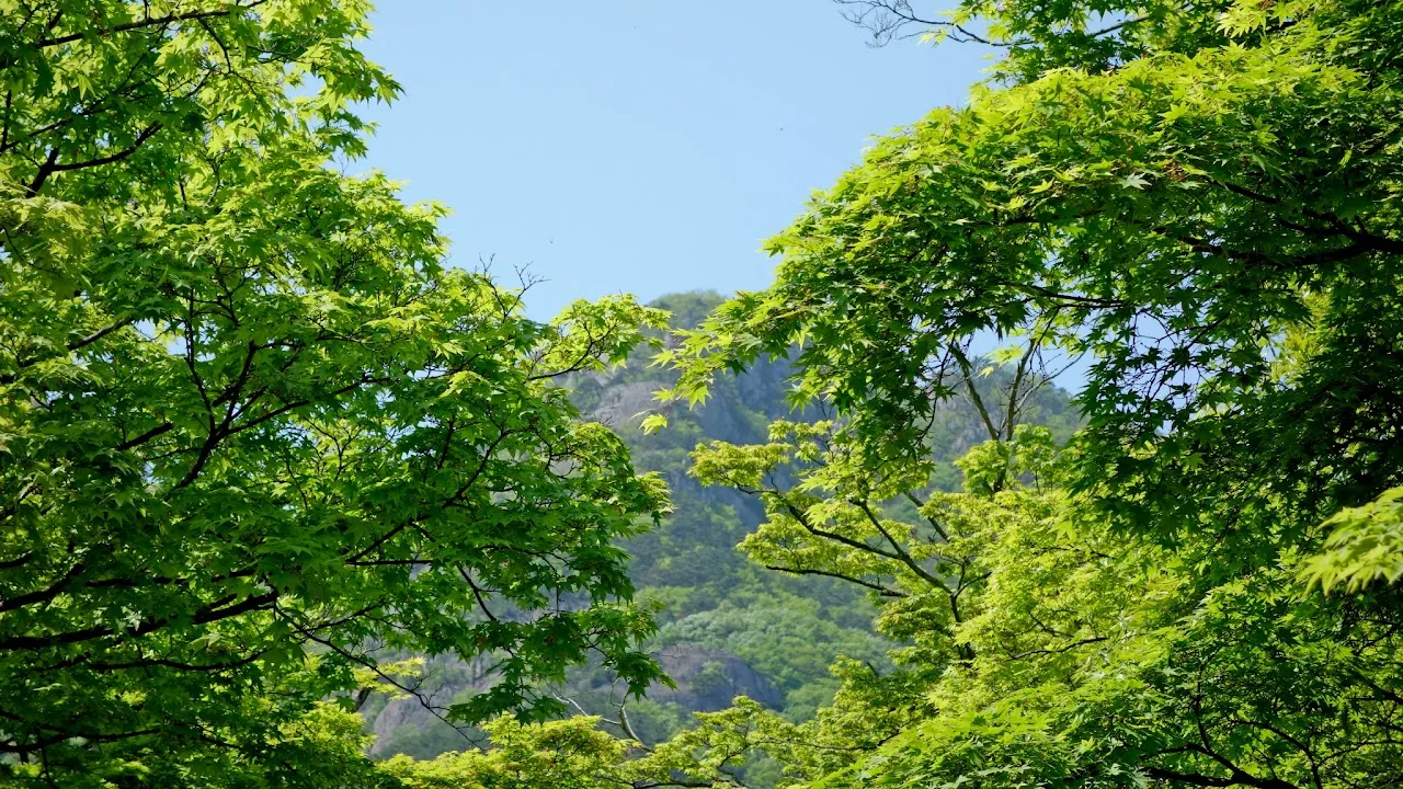 변산
