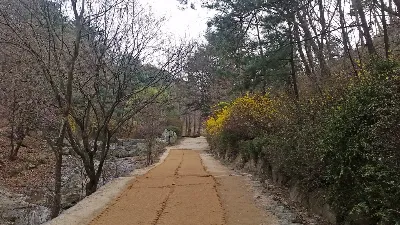 청계산 옥녀봉코스 사용자 사진 2