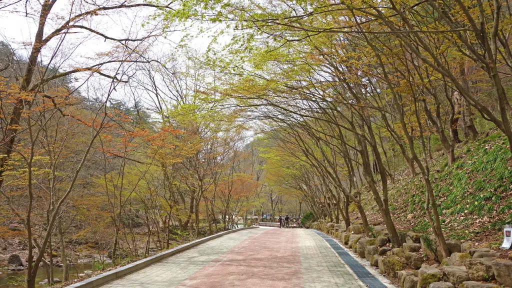 강천산 (전북 순창) : 2016-04-09