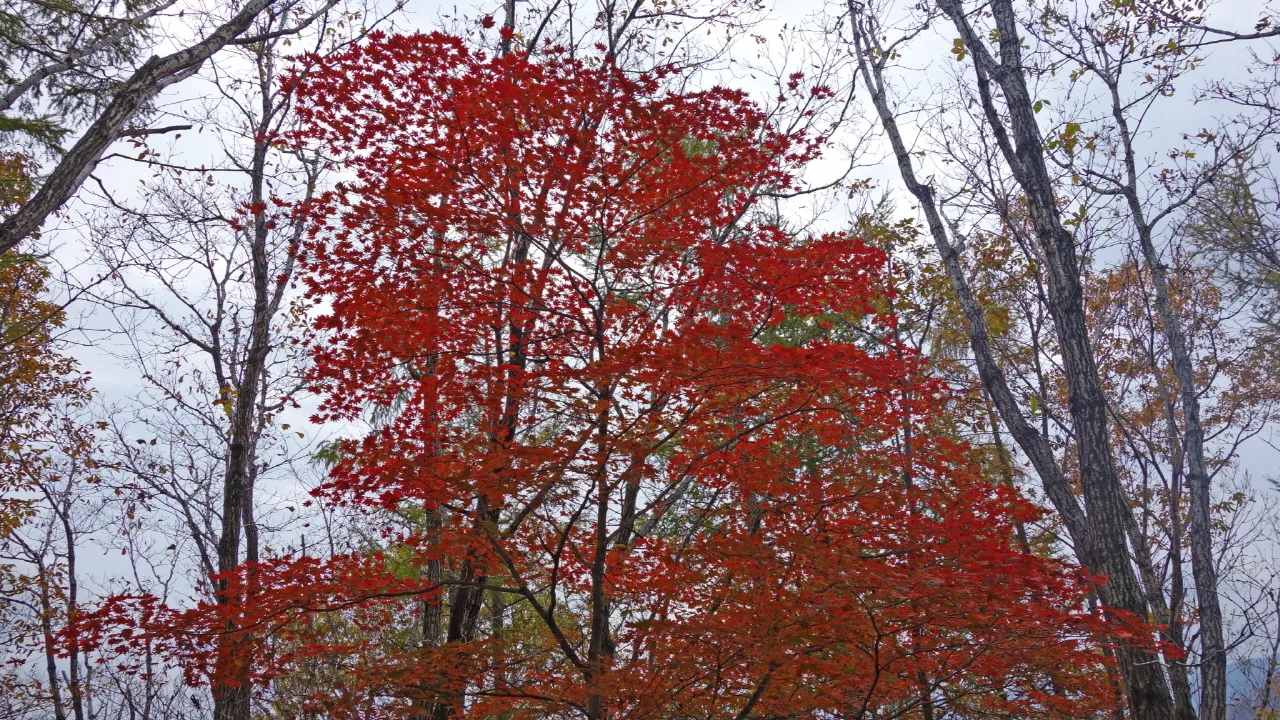 지리산 : 2016-10-29