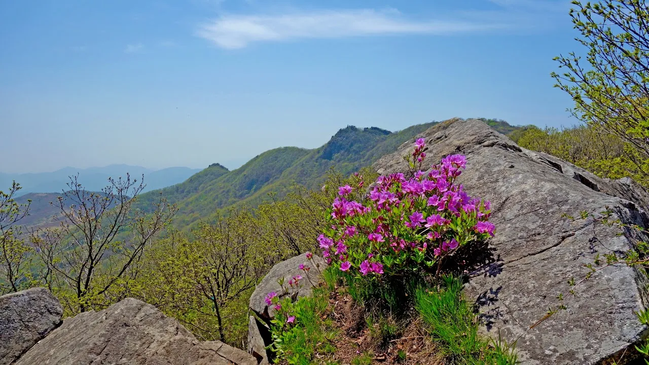 황매산