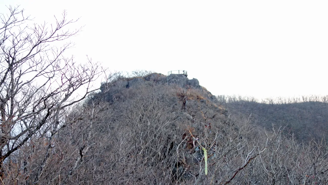 백운산(저남광양) 및 매화축제 : 2016-03-19