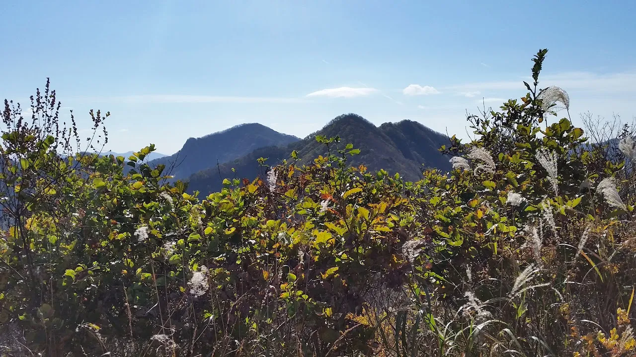 내장산-백양사