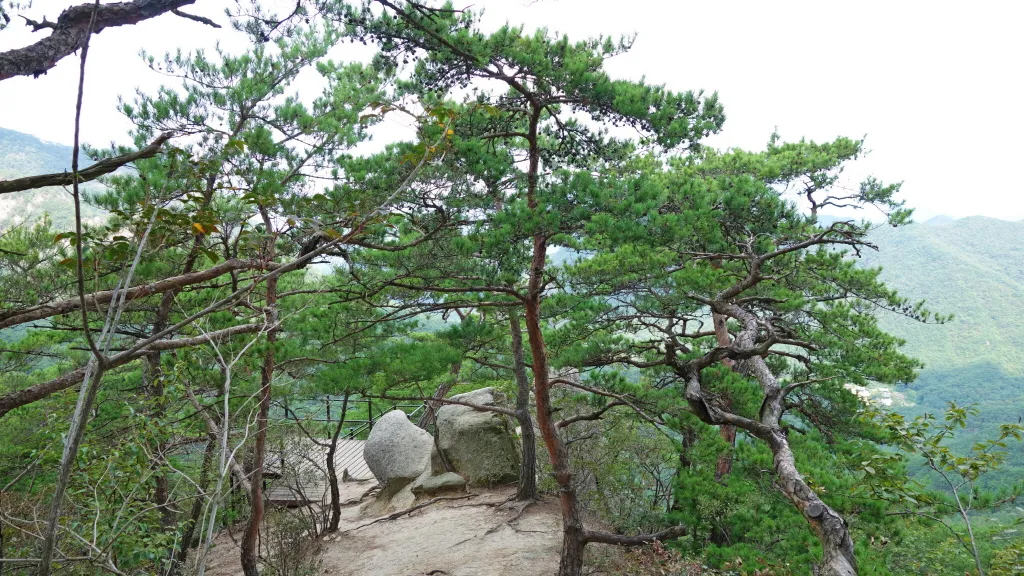 칠보산 (778m) [충북 괴산] : 2016-09-14