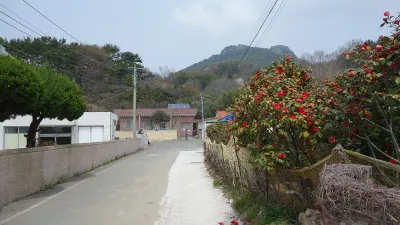 통영 미륵산 용화사광장코스 사용자 사진 2