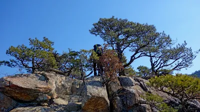 경주 남산 칠불암코스 사용자 사진 3