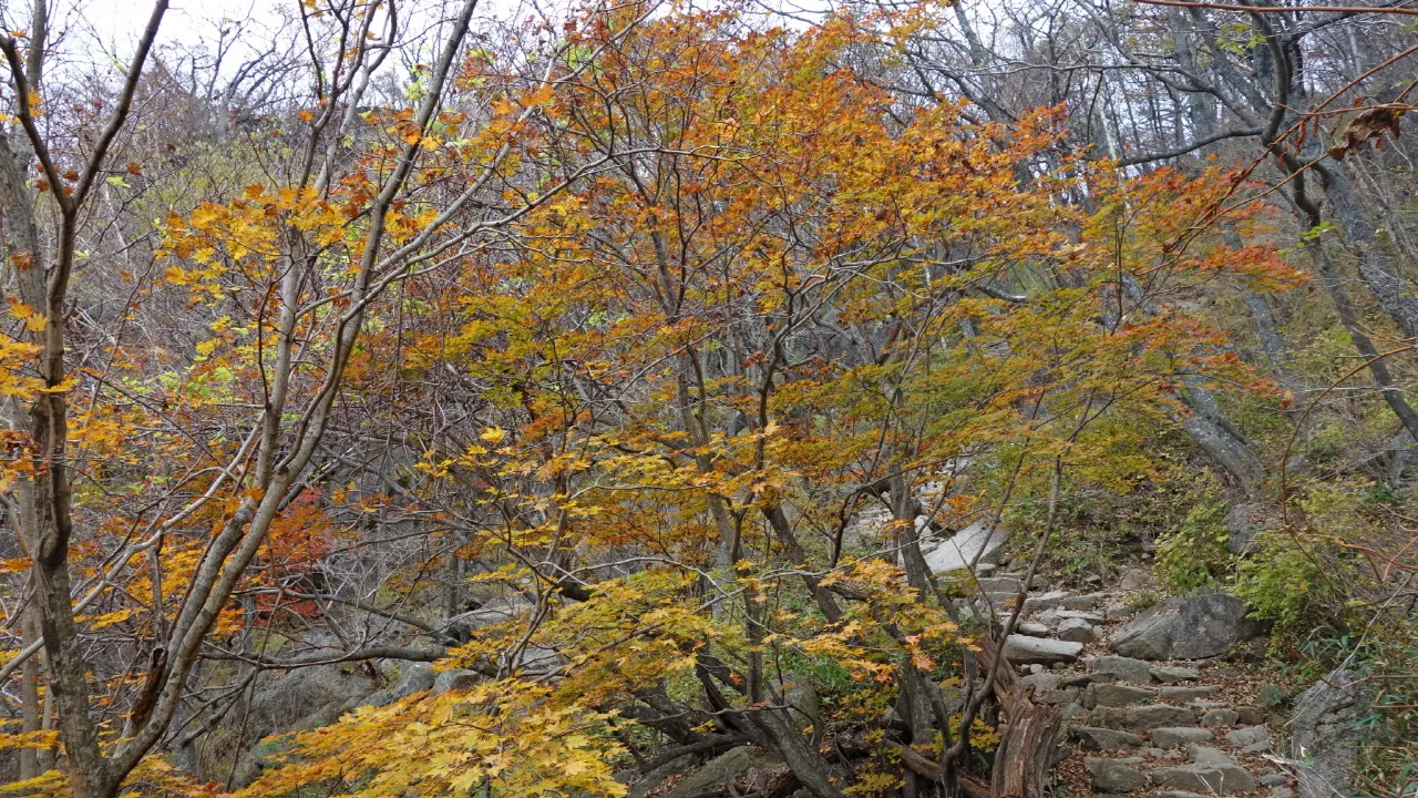 지리산 : 2016-10-29