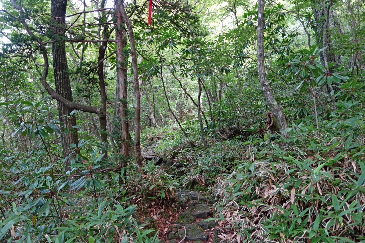 한라산 (돈내코-윗세오름) : 2016-07-30