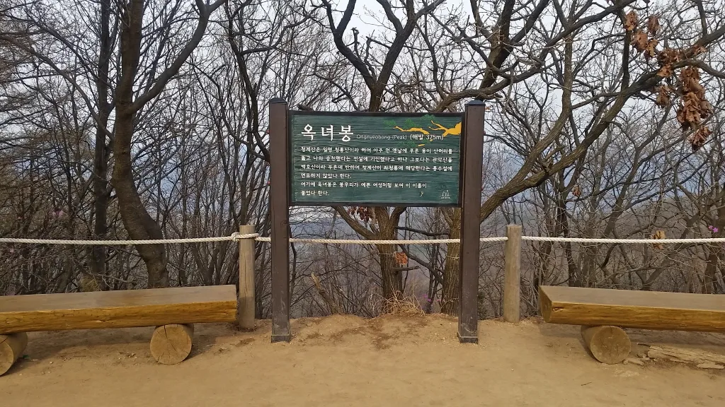 청계산 진달래