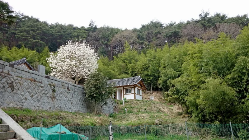 미륵산 (경남 통영) : 2016-04-02