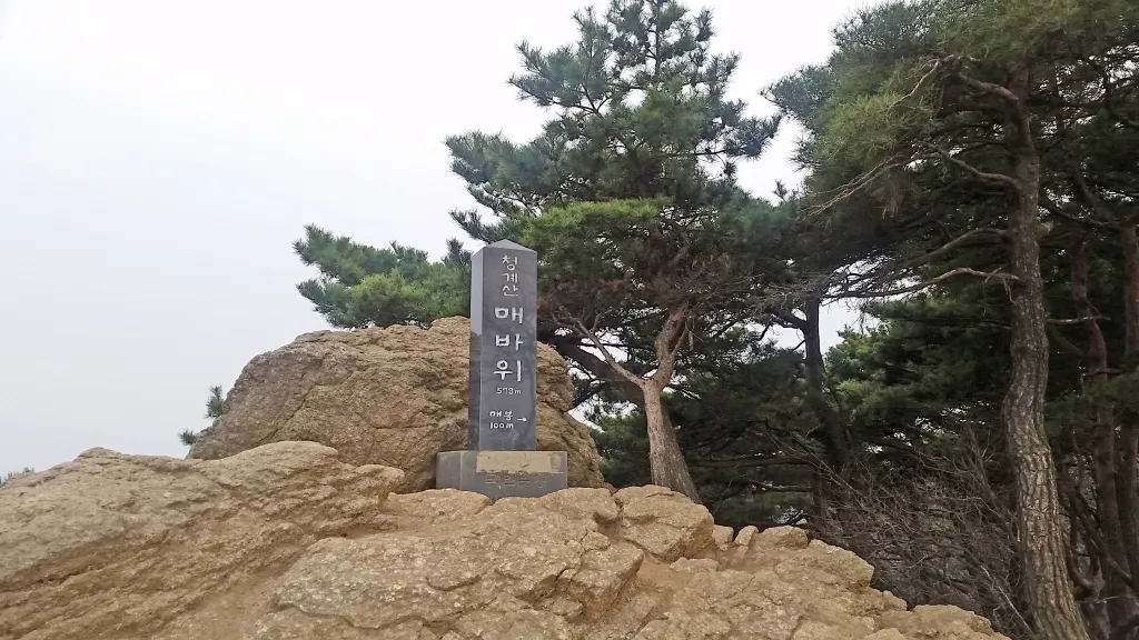 청계산 진달래