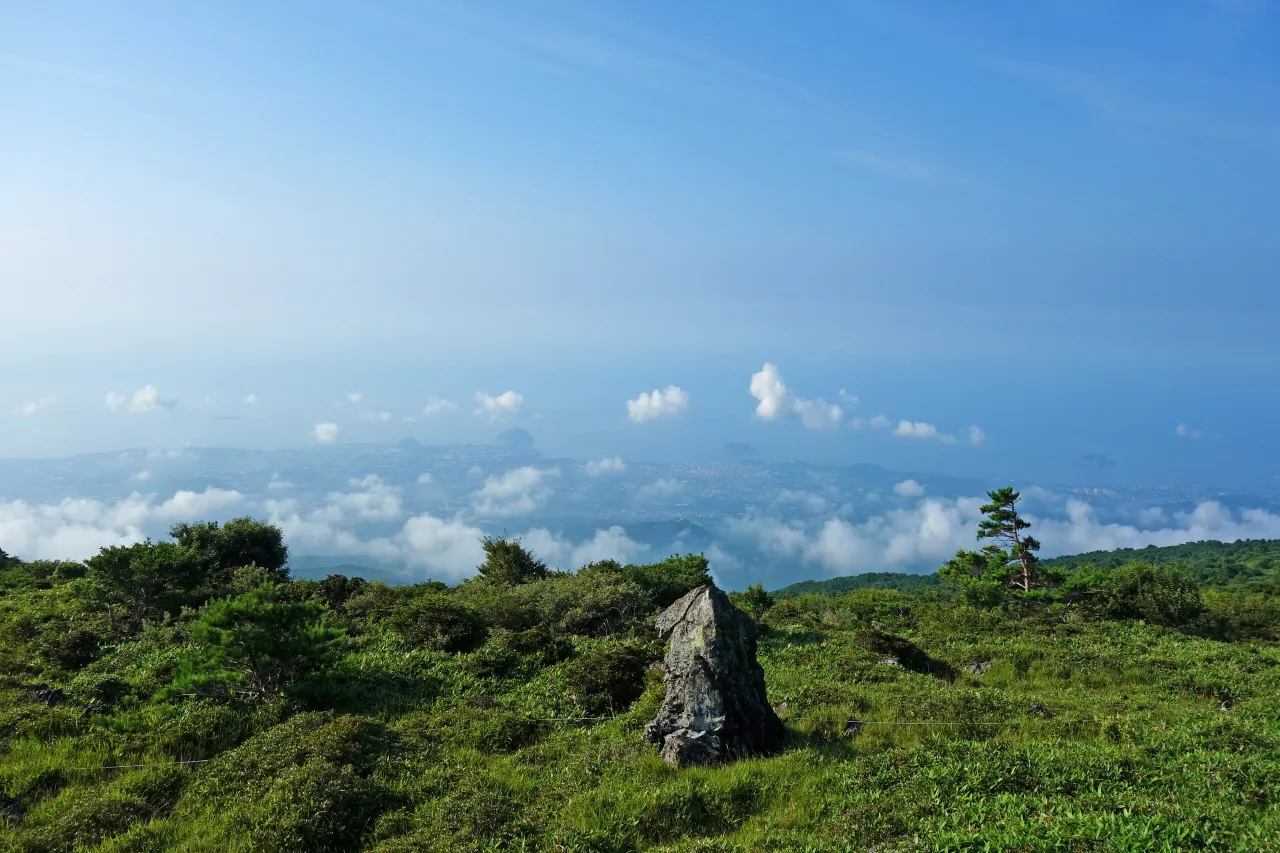 한라산 (돈내코-윗세오름) : 2016-07-30