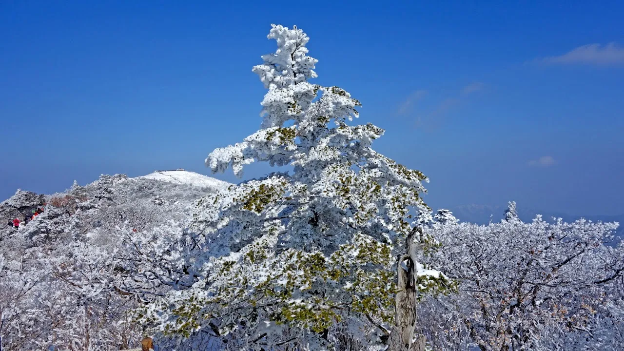 덕유산 눈꽃산행