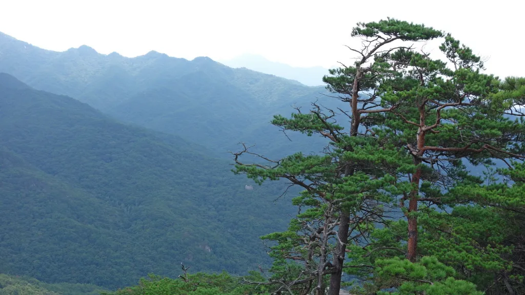 칠보산 (778m) [충북 괴산] : 2016-09-14
