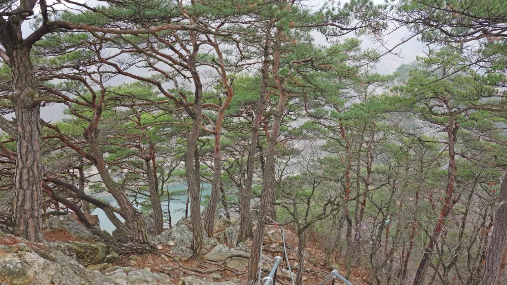 팔봉산 (홍천) : 2014-04-13