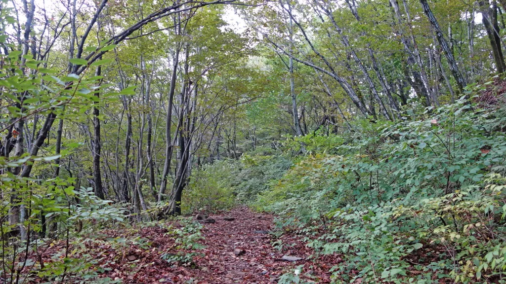 유명산-용문산:2016-09-17