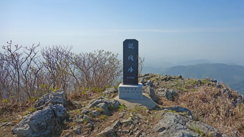 비슬산 진달래