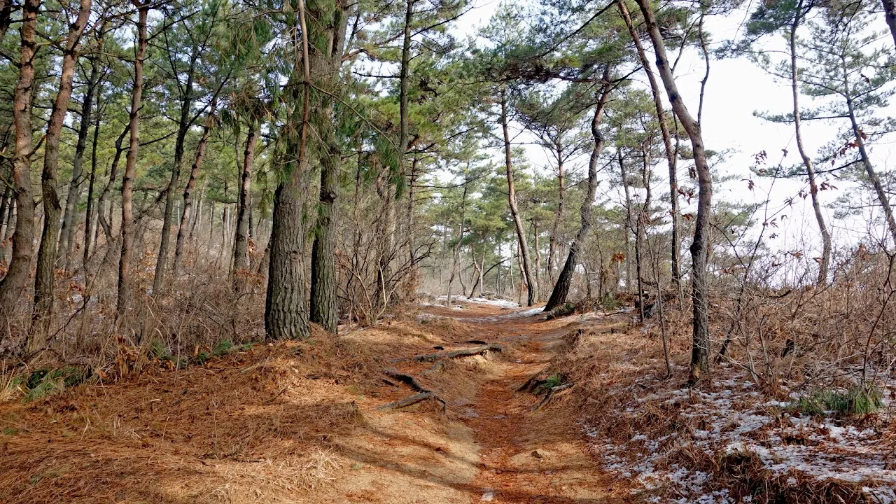 용봉산-덕숭산