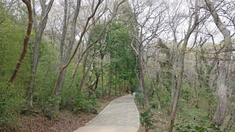 미륵산 (경남 통영) : 2016-04-02