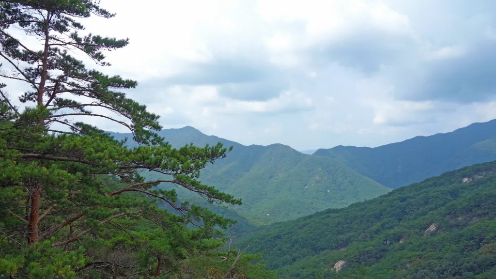 칠보산 (778m) [충북 괴산] : 2016-09-14