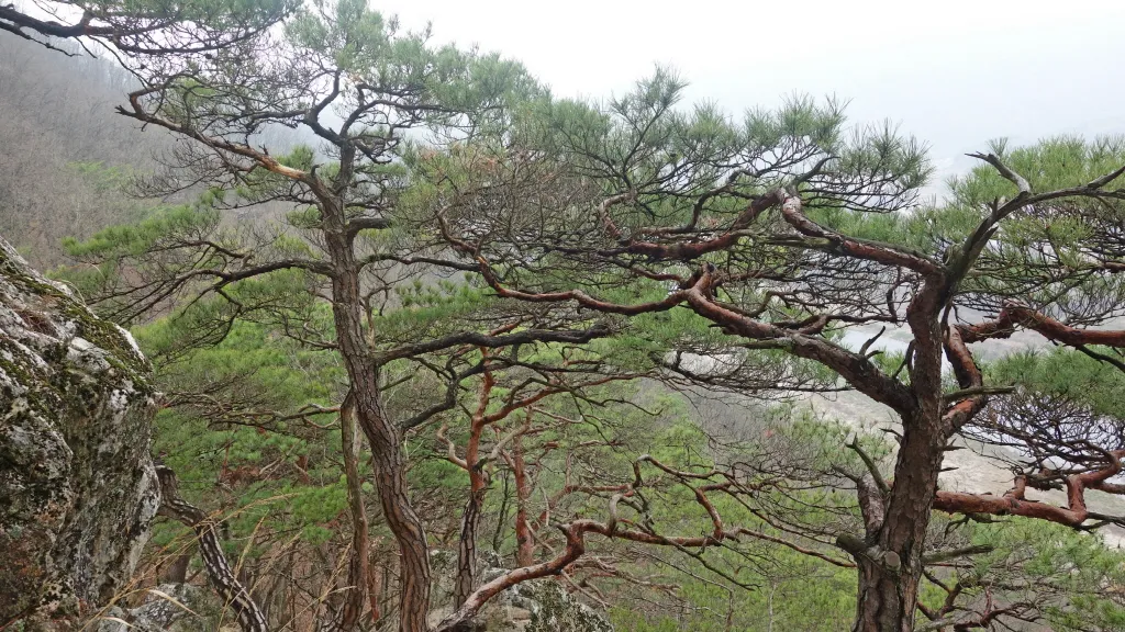 팔봉산 (홍천) : 2014-04-13