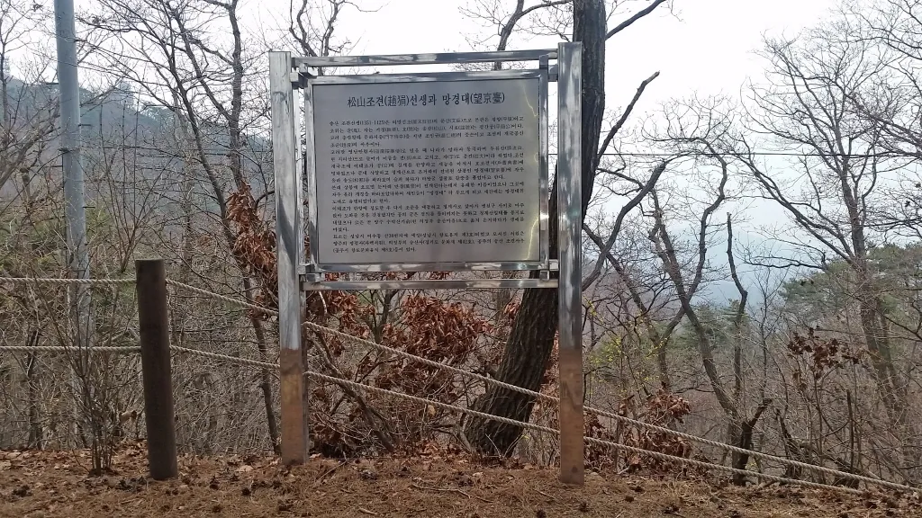 청계산 진달래