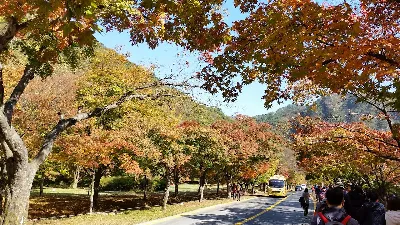 내장산 서래봉코스 사용자 사진 1
