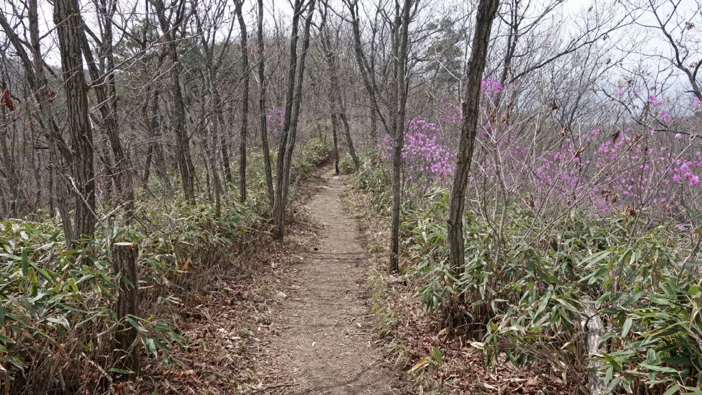 강천산 (전북 순창) : 2016-04-09