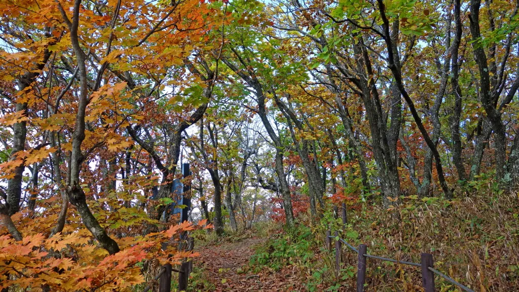 오대산