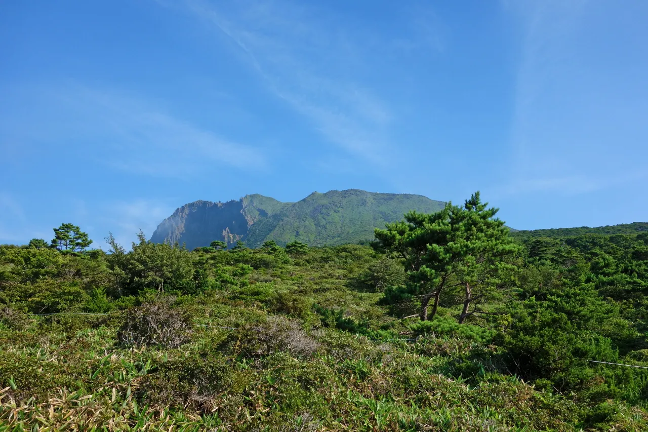 한라산 (돈내코-윗세오름) : 2016-07-30