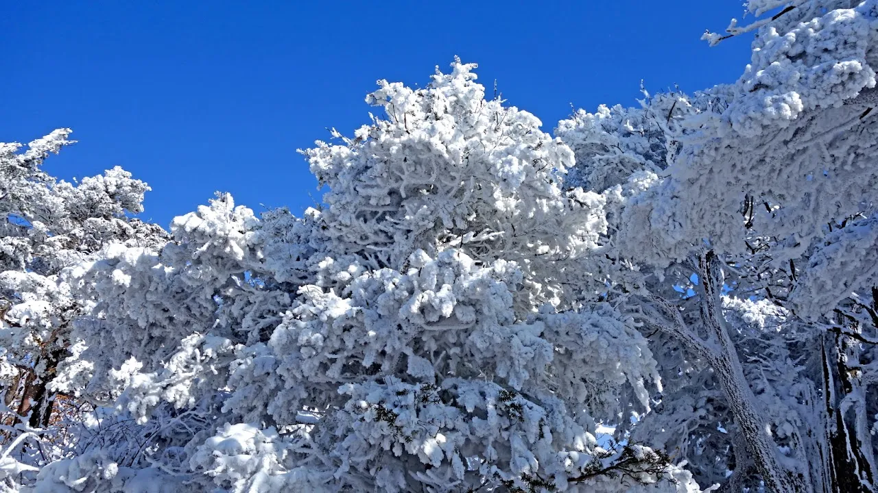 덕유산 눈꽃산행