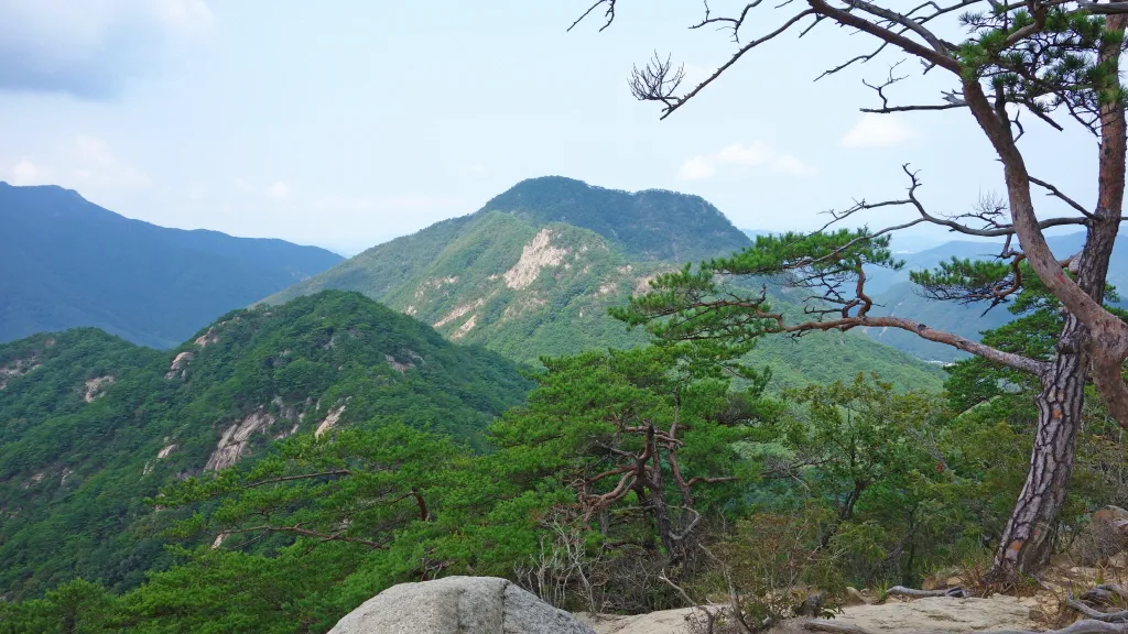 칠보산 (778m) [충북 괴산] : 2016-09-14