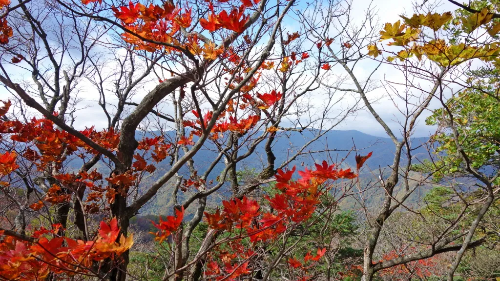 오대산